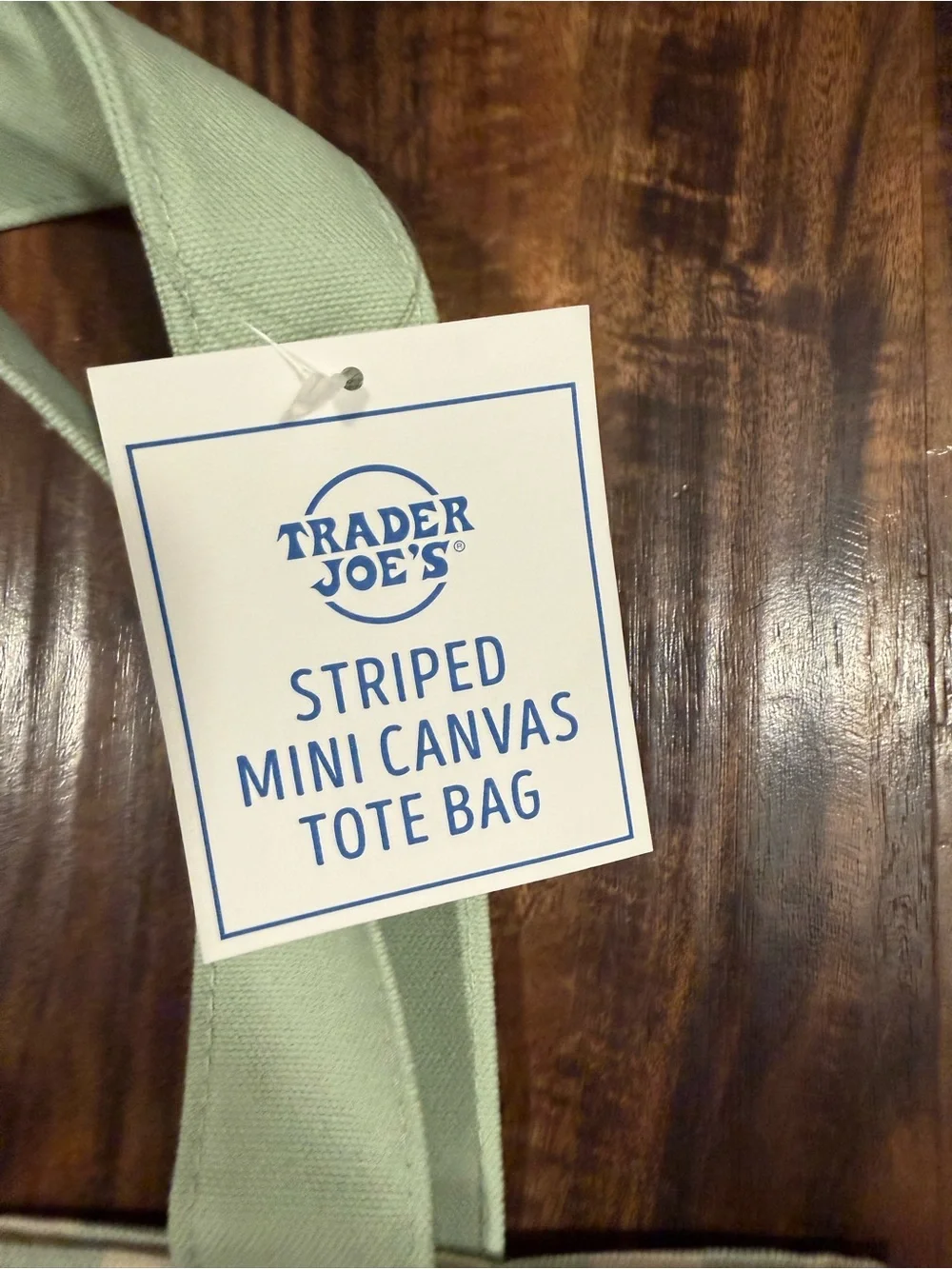 Trader Joe’s Mint Green Striped Canvas Mini Tote Bag